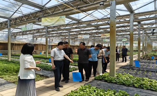 2024年6月27日，中國(guó)綠色食品發(fā)展中心相關(guān)領(lǐng)導(dǎo)蒞臨農(nóng)業(yè)總公司考察調(diào)研_副本.jpg